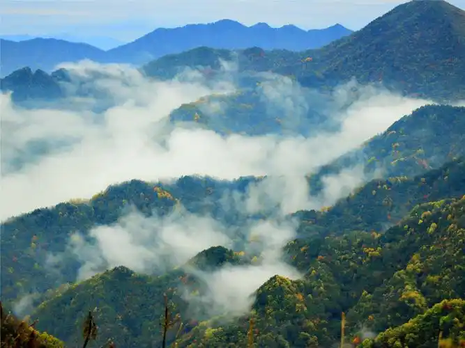 巴山秘境飞渡峡