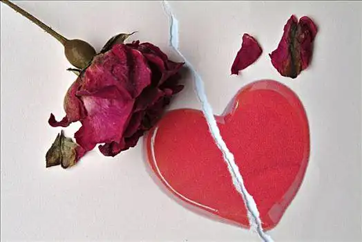 耶稣,神圣,玫瑰园,墓地,靠近,石化厂女人,鸡尾酒杯,玫瑰蜡烛,玫瑰花瓣