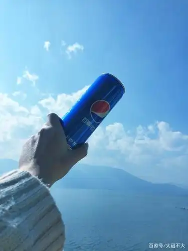 疫情结束后我们要百事可乐鸭