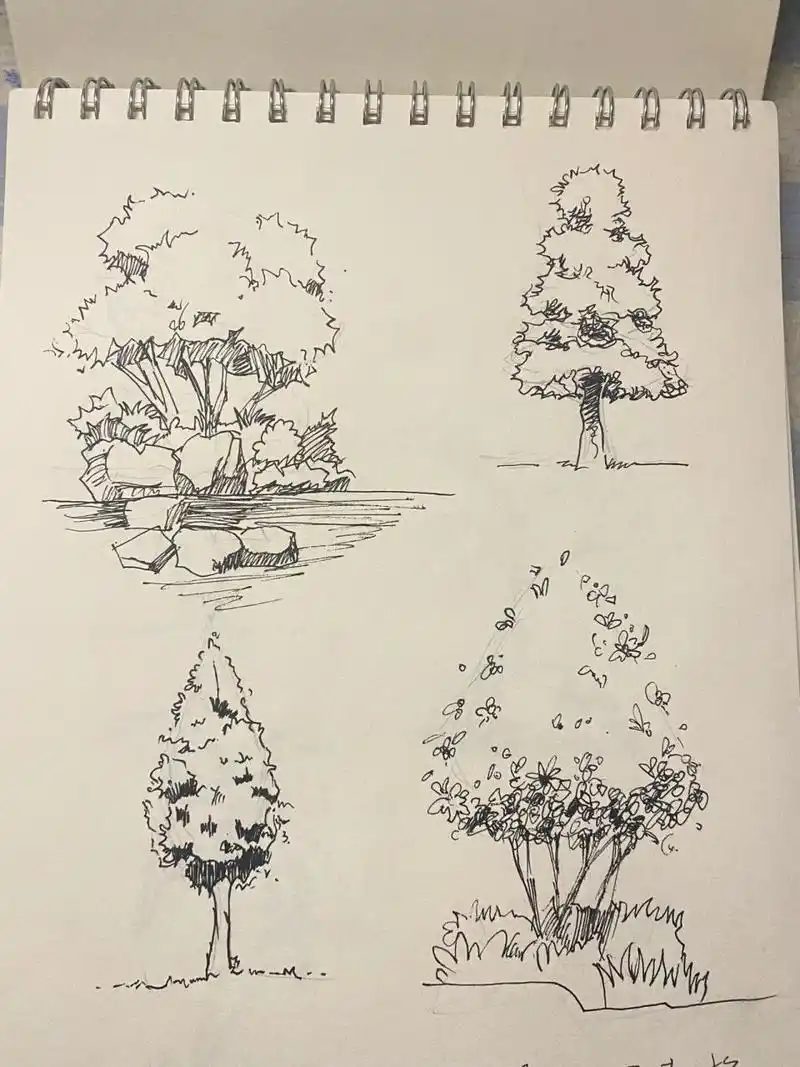 风景速写写生 树木🌲单体!接代画手绘!  树木单体