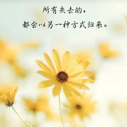 143/200阿汤打卡借鉴一组唯美照片,表达我的心境.