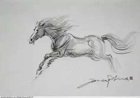 15年只画一匹马从被父母嫌弃的画渣变成高攀不起的彩铅大神