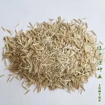 日本冰菜种子高含氨基酸非洲特菜冰草种子盆栽蔬菜种子冰菜苗种子