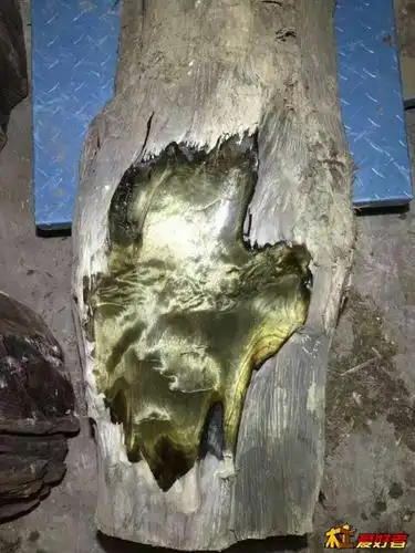 金丝楠乌木阴沉木绿料骨头料