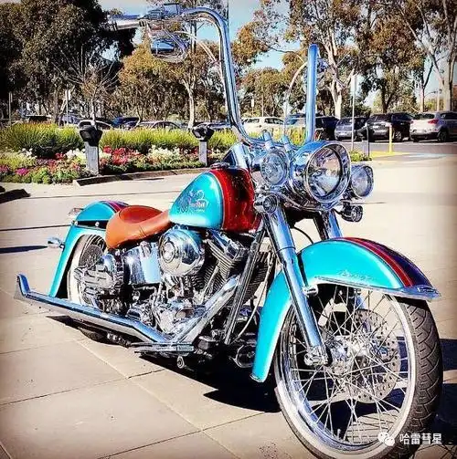 诠释什么叫"雅痞" 哈雷匪帮风格改装合辑