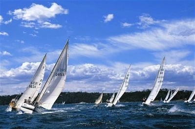 沉舟侧畔千帆过病树前头万木春