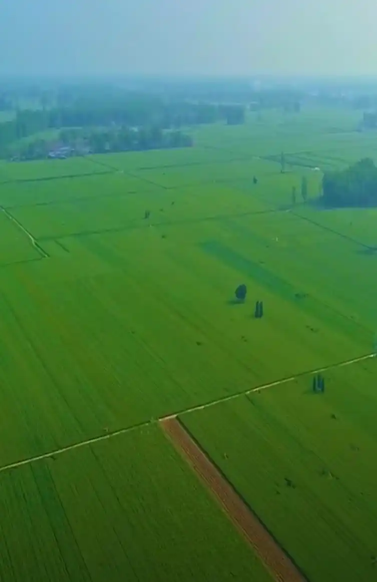 河南一望无际大平原.没有山看着好压抑,像在大海中一样压抑
