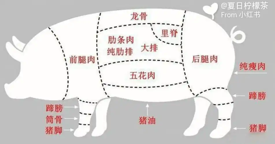 猪肉在烹饪中每个部位更适合做什么下