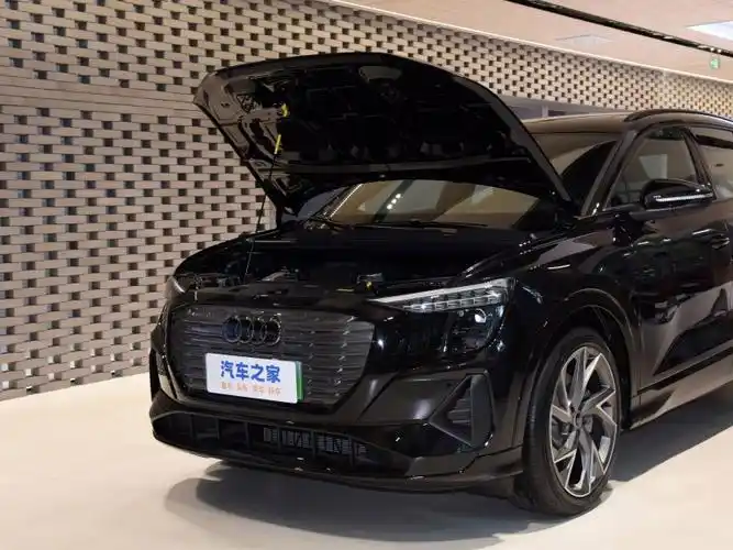 上汽奥迪 奥迪q5 e-tron 2023款 40 e-tron 星耀型 黑武士版