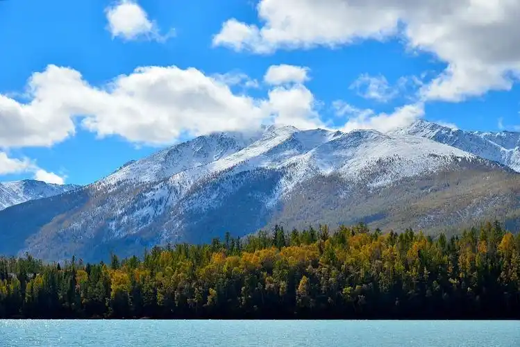 【图片25】新疆行-----美丽的喀纳斯湖--蜂鸟论坛照片套图