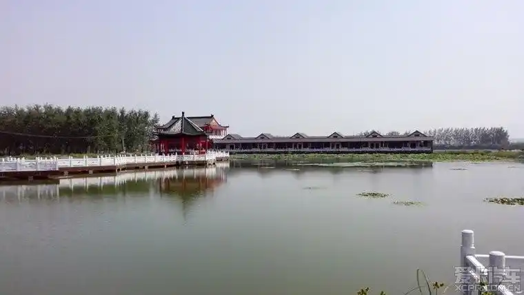 畅游水杉大道黄天荡湿地公园