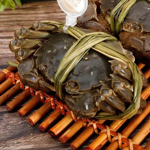 黄河口大闸蟹 鲜活特大螃蟹现货1.8母/2.5公10只全母礼盒水产海鲜