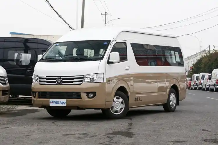 2020款风景g9商务车24l手动长轴高顶商运版9座汽油国vi