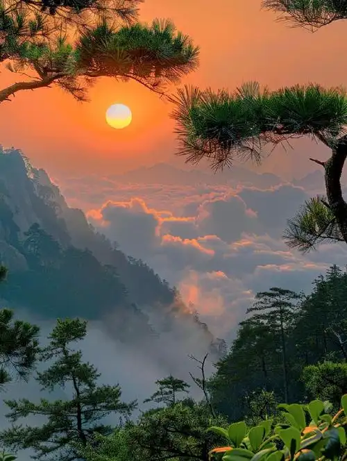 明日,你会遇见期待已久的贵人.