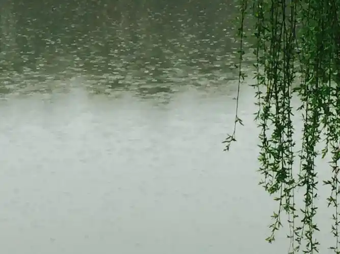 春雨中留住的那些记忆