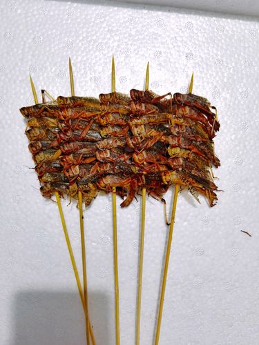 蚂蚱冷冻蝗虫酥脆蚱蜢串烧烧烤油炸20根多省其他食品