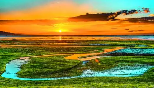 青海湖绘就人水和谐生态画卷