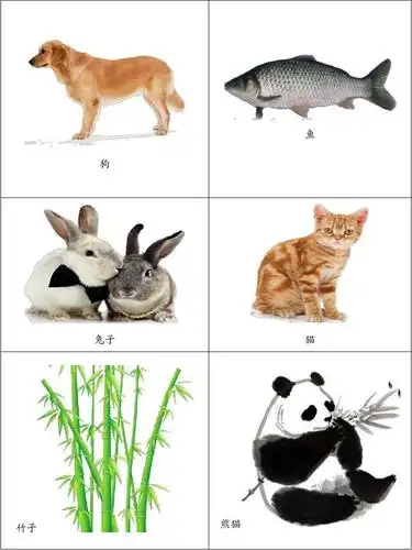 免费文档 所有分类 幼儿教育 少儿英语 幼儿识字卡片:动植物