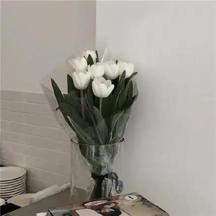 简简单单但是却又不失气质的好看背景图来啦,清冷气质十足的唯美好看