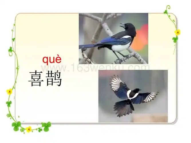 人教部编版一年级下册语文课文6树和喜鹊ppt课件市级公开课0032pptx