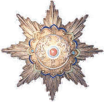 北洋水师军旗纹章