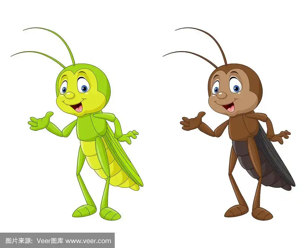 绘画插图,卡通,蟋蟀,可爱的,野生动物