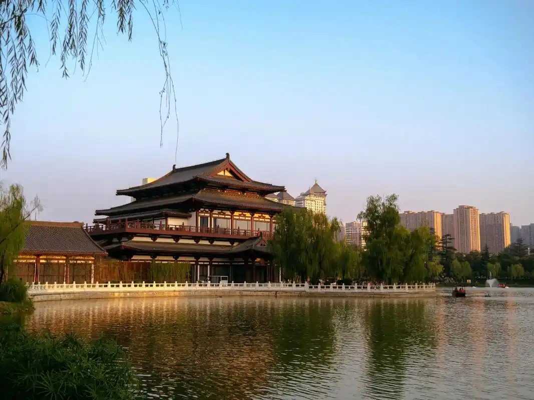 秋天了,出来吹吹风吧#西安 #长安归故里故里有长安 #摄影  - 抖音