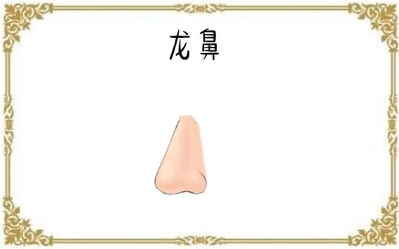 原创五种发财鼻子,贵人帮,横财旺,男人升大官,女人发富贵!