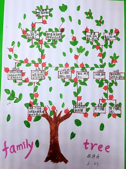 生命的律动——我的家庭树