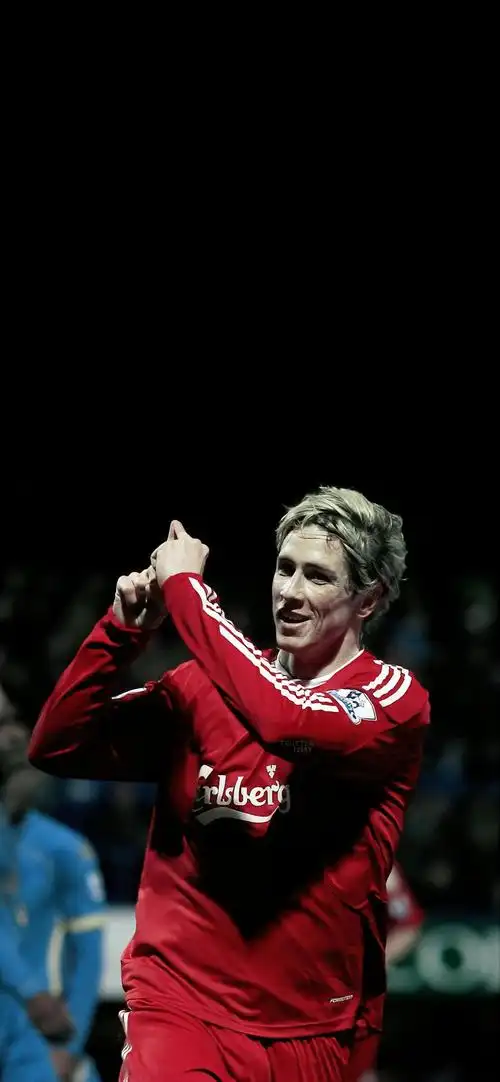 壁纸狂魔特别版圣婴托雷斯