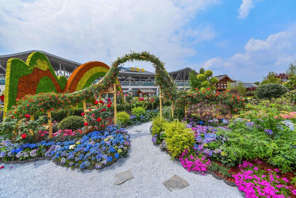 拭目以待2021花漾蓉城成都花展即将启幕