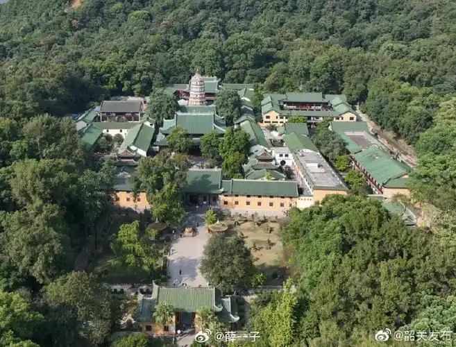 发现森系韶关##韶关是懂品茶摘果的##在广东找到