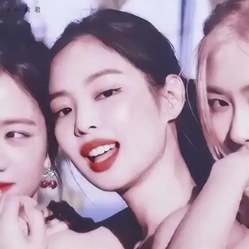 blackpink闺蜜头像(四人)