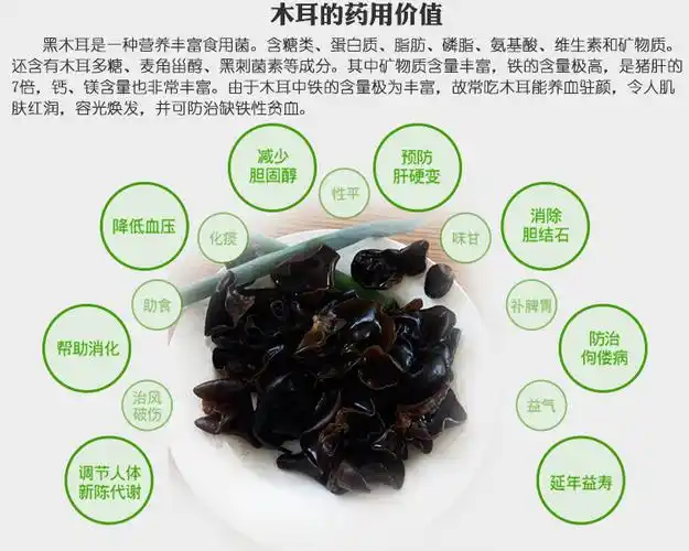 黑木耳是什么(黑木耳的营养和功效)-52线报网