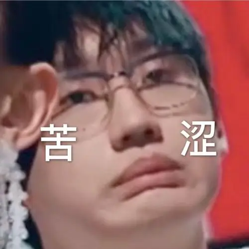 鸭鸭表情包第三弹ak刘彰