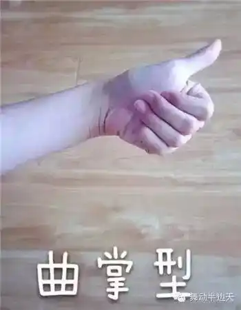 舞出美丽>傣族舞入门基础教学来啦!