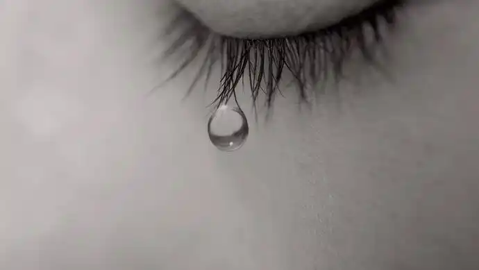 画中这滴泪挂在所有人心上