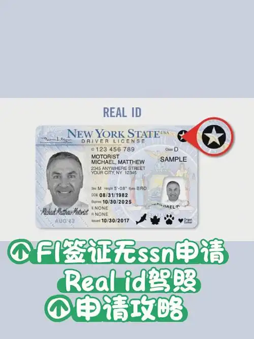 纽约驾照f1签证无ssn申请realid纽约驾照