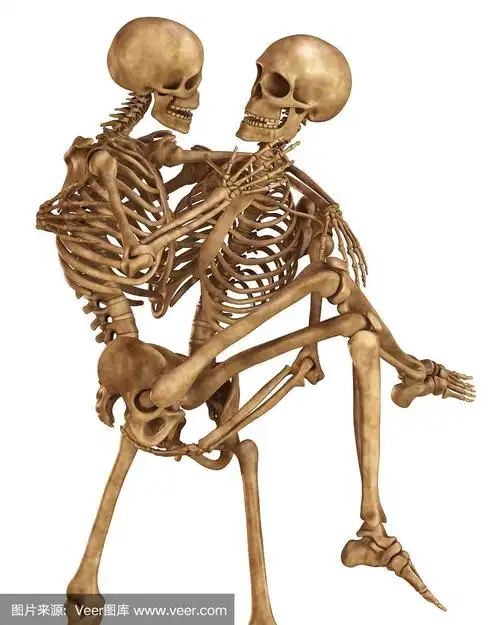 男人和女人的骷髅,摆着恋人的姿势.孤立在白色背景的3d插图