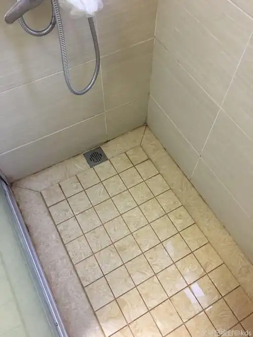 有没有人家里淋浴房地面这样铺的?