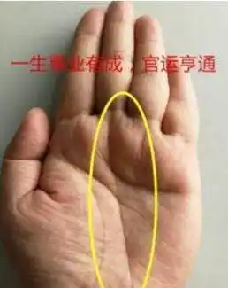手掌有金房子的人,衣食自天来!定是有福人的手相