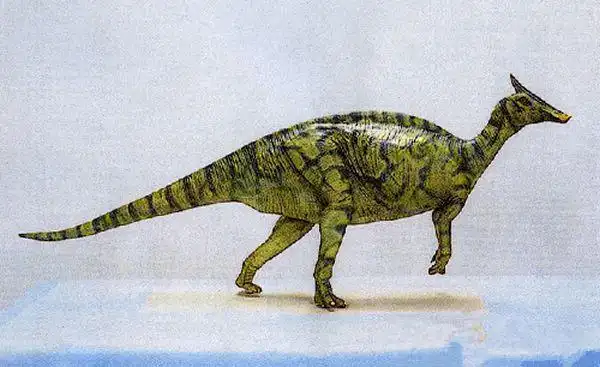 鸭嘴龙科的系统分类