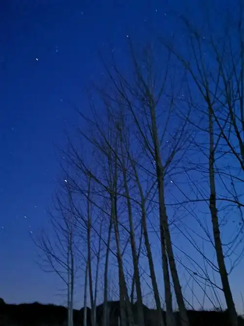 小山村的夜晚,满天繁星,月光如水