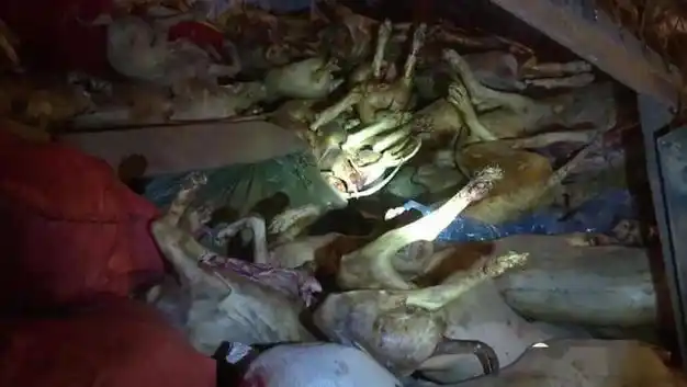 南宁三姐妹碎尸案,男子仅仅是为了发泄欲望,事后将三人残忍碎尸