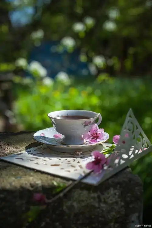 人到中年,放慢脚步,平心静气,岁月安好