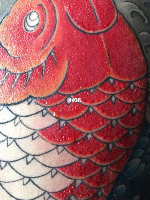 大红鲤鱼进度_纹身_鲤鱼_北京纹身_美妆_彩妆