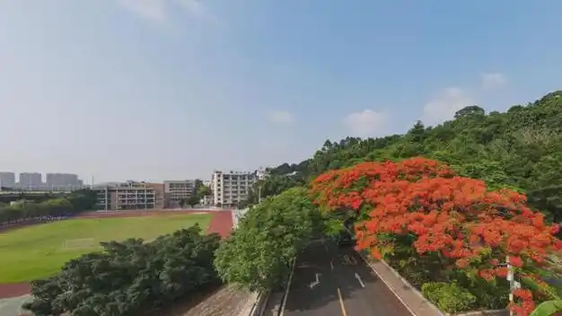 花成为校园中明艳的一抹美景南海中学 莫冠迪摄佛山传媒摄影俱乐部 冯