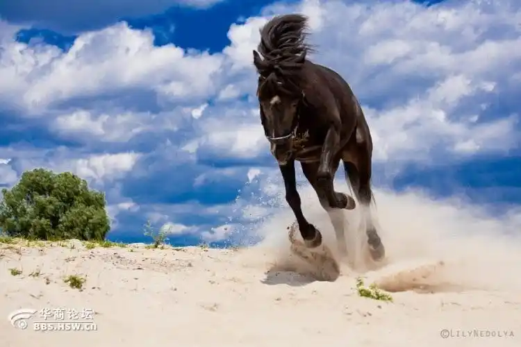 趣味摄影:22张高速快门的神奇照片