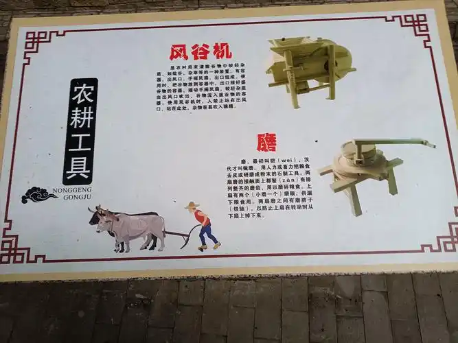 滨江小学无土栽培种植基地