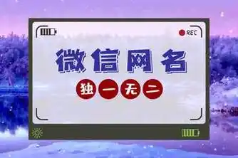 2020独一无二的微信号_百度视频搜索